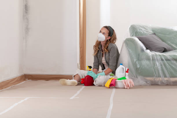 Reliable Mold Remediation contractor in Columbia, TN by WQB Mold Removal